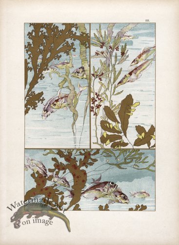 (image for) Gold Leaf Fish