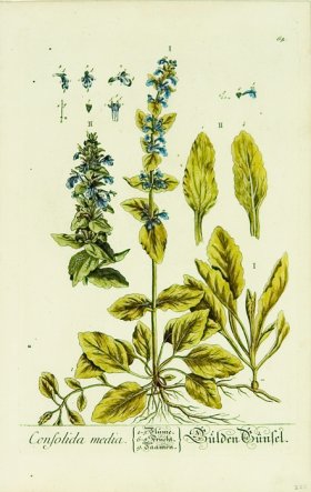 Blackwell German 038