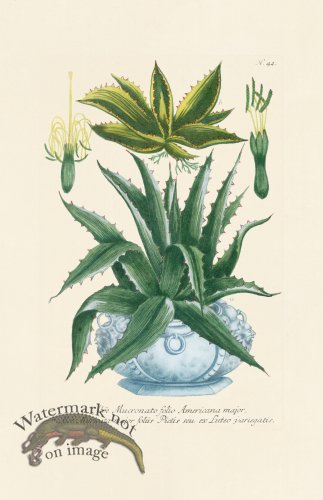 (image for) Weinmann PL 042