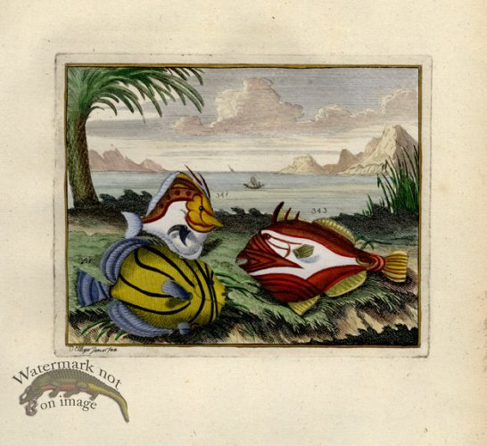 (image for) Valentijn 05