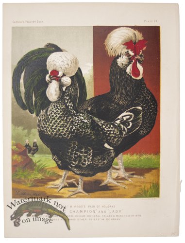 (image for) Pair of Houdans