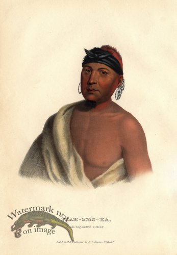 (image for) Peah-Mus-Ka