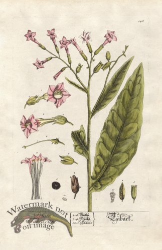 (image for) Blackwell GE 146