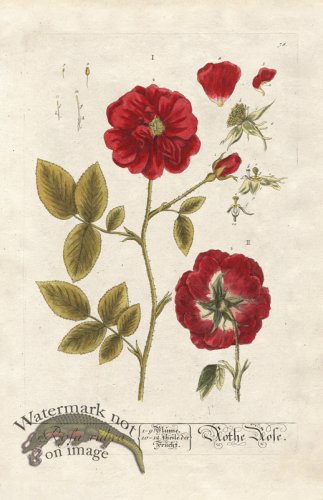 (image for) Blackwell GE 078