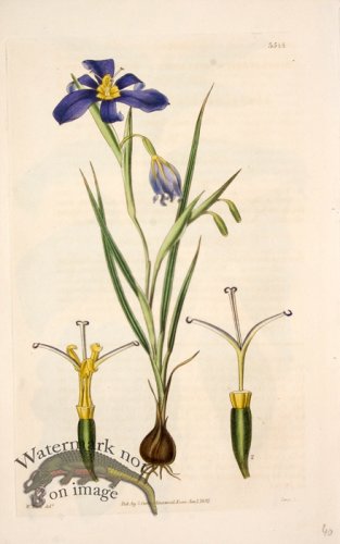 (image for) CBMS_0057