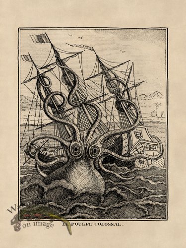 (image for) Octopus Tan 30