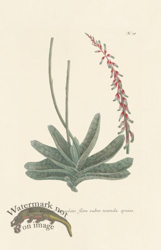 (image for) Weinmann PL 057