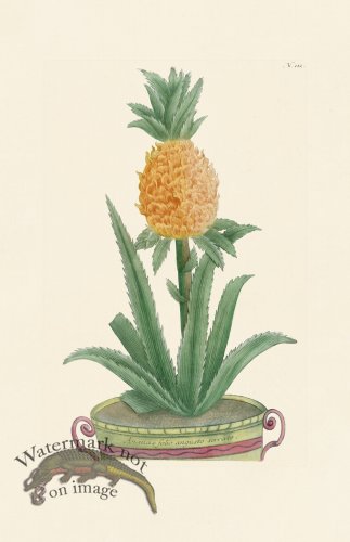 (image for) Weinmann PL 112