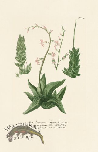 (image for) Weinmann PL 072