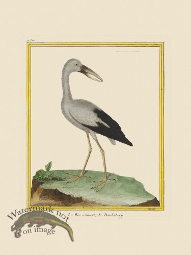(image for) Martinet Bird 932