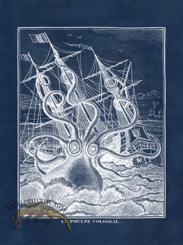 (image for) Octopus Blue 30