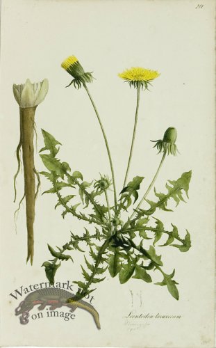 (image for) 1828_Gmp 012