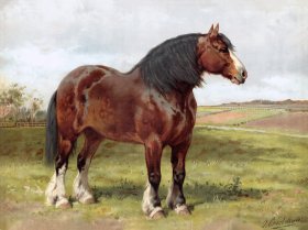 (image for) Shire Horse by Eerelman