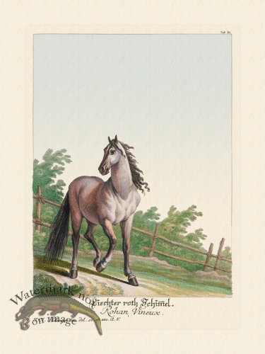 (image for) Ridingers Horses 26