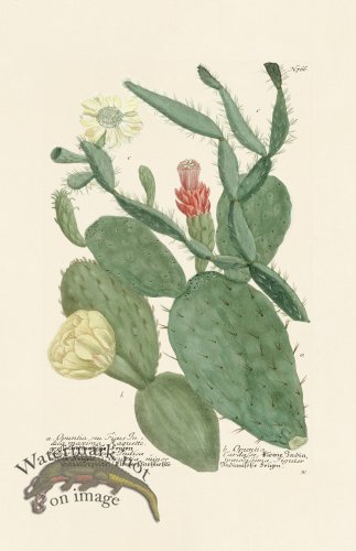 (image for) Weinmann PL 766