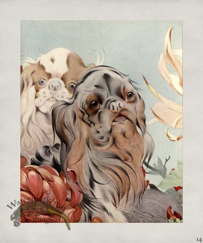 (image for) Puppy Dog 14