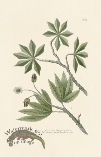 (image for) Weinmann PL 1023