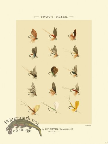 (image for) Favorite Flies 22 Trout