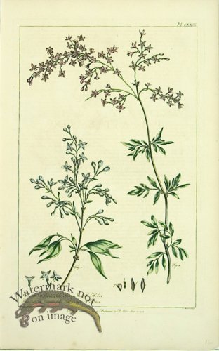 (image for) Philip Miller 093