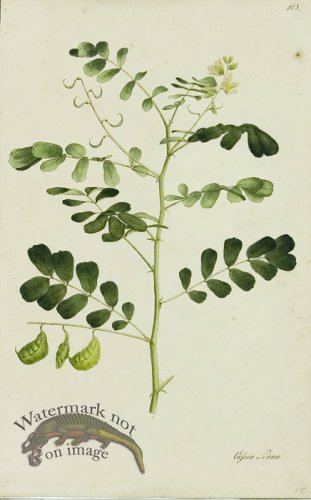 (image for) 1828_Gmp 068