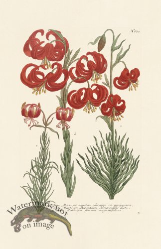 (image for) Weinmann PL 660