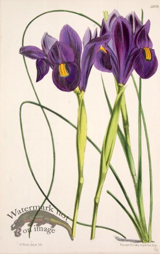 (image for) CBMS_0025