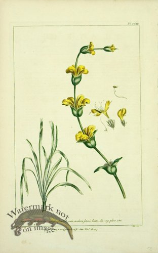 (image for) Philip Miller 050