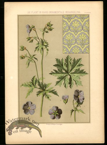 (image for) Pattern 18