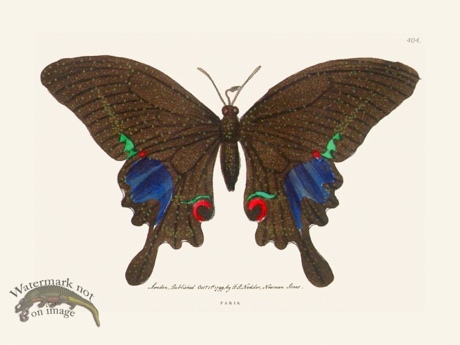 (image for) 404 Paris