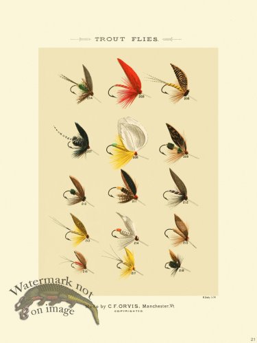 (image for) Favorite Flies 21 Trout