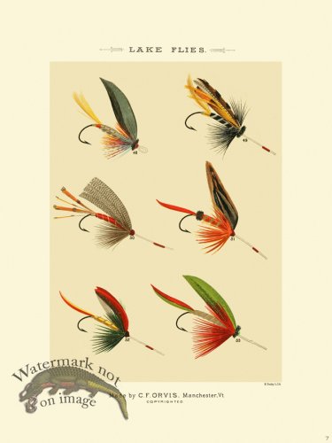 (image for) Favorite Flies 07 Lake