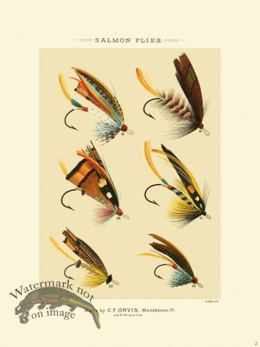 (image for) Favorite Flies 02 Salmon