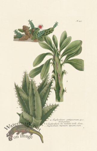 (image for) Weinmann PL 497