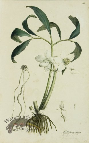 (image for) 1828_Gmp 015