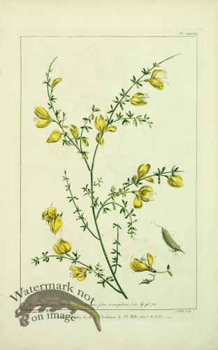 (image for) Philip Miller 035