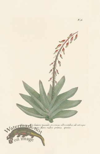 (image for) Weinmann PL 056