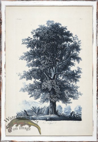 (image for) Blue Trees in Distressed White 02