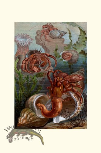 (image for) Underwater 02