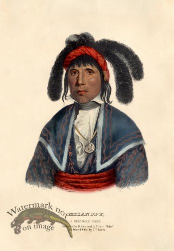 (image for) Micanopy