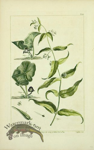 (image for) Philip Miller 074