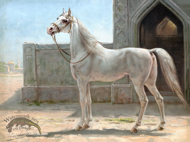 Persian Horse by Eerelman