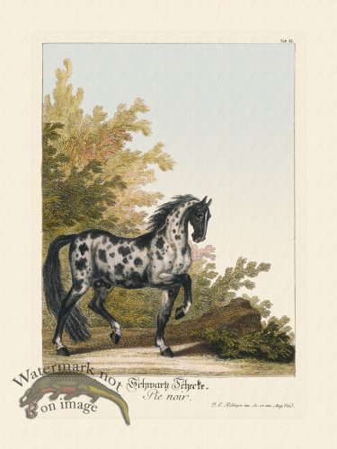 (image for) Ridingers Horses 42