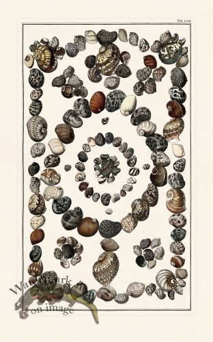 (image for) Seba B2 058