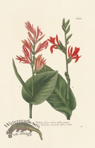 (image for) Weinmann PL 298