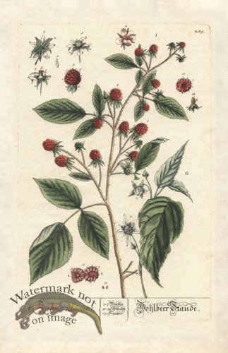 (image for) Blackwell GE 289