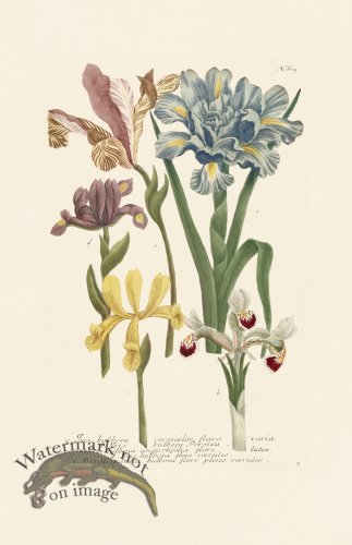 (image for) Weinmann PL 609