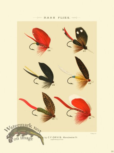 (image for) Favorite Flies 30 Bass