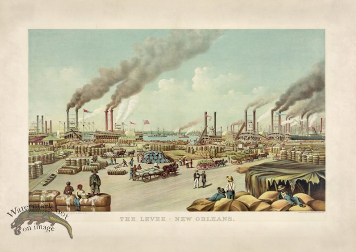 (image for) The Levee New Orleans