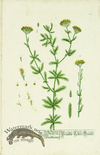 (image for) Blackwell German 239