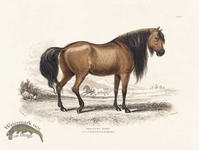 (image for) Jar Horse 03